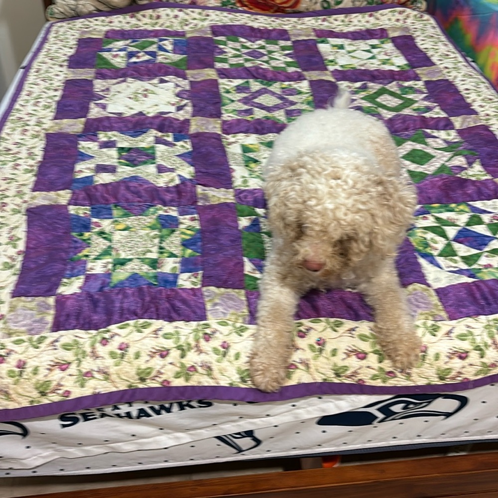 Heirloom domestic violence, color, purple quilt, 21 years old